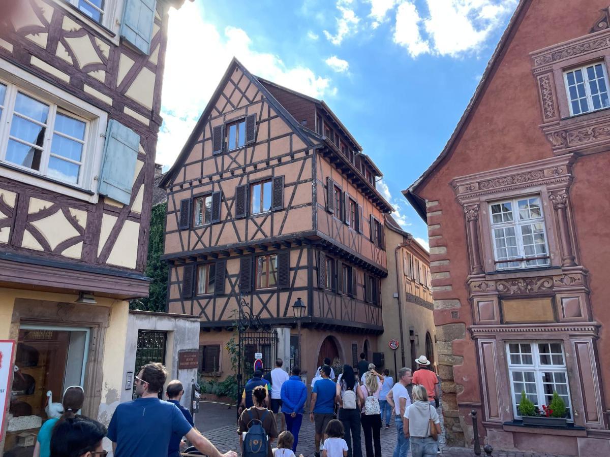 Rive Petite Venise Appartement Luxe - Centre Ville Colmar - Clim, Ascenseur & Possibilite Parking Dış mekan fotoğraf